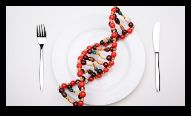 הצלחת הגנטית: יצירת דיאטות מותאמות אישית עם נוטריגנומיקה