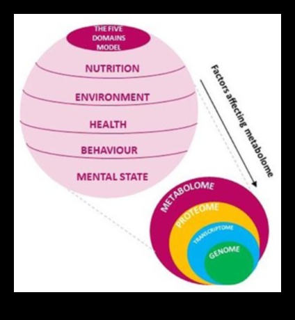 דינמיקה של מחסור: פירוק המורכבות של פערים תזונתיים