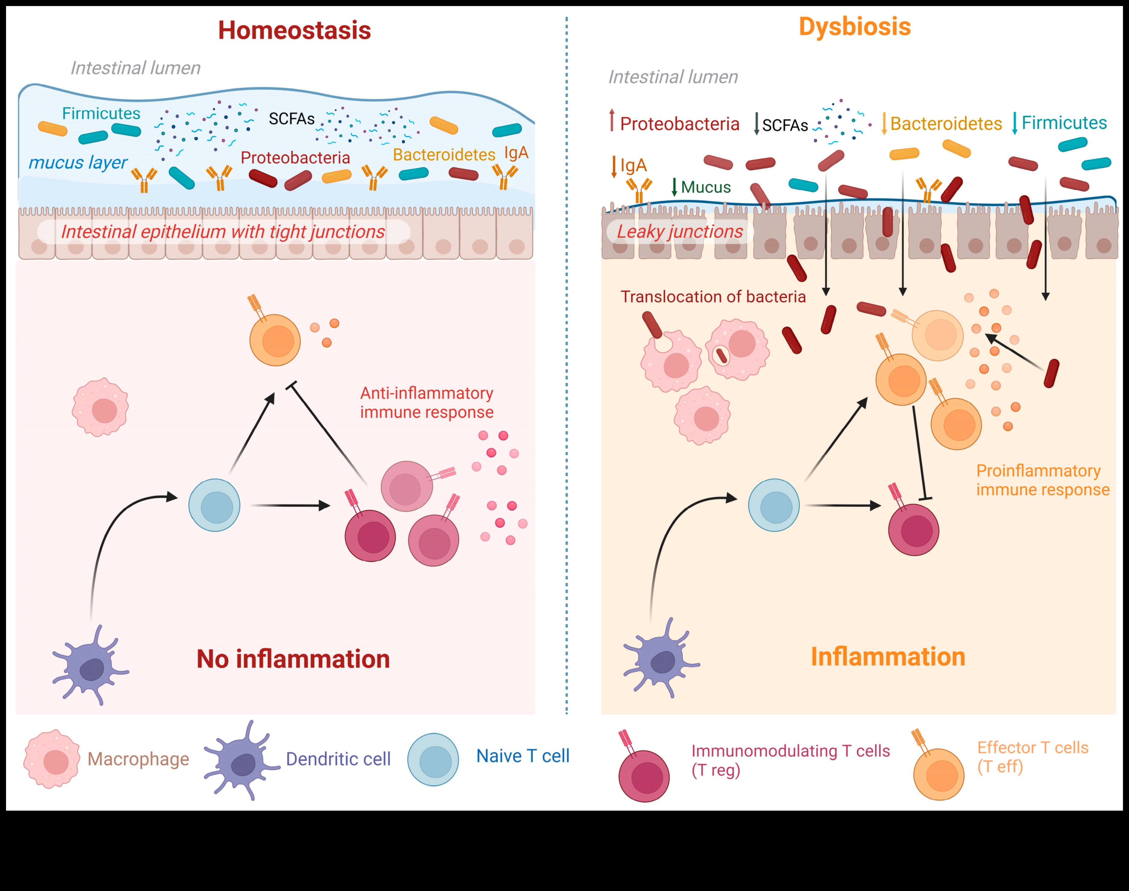 דינמיקה של מחסור: פירוק המורכבות של פערים תזונתיים