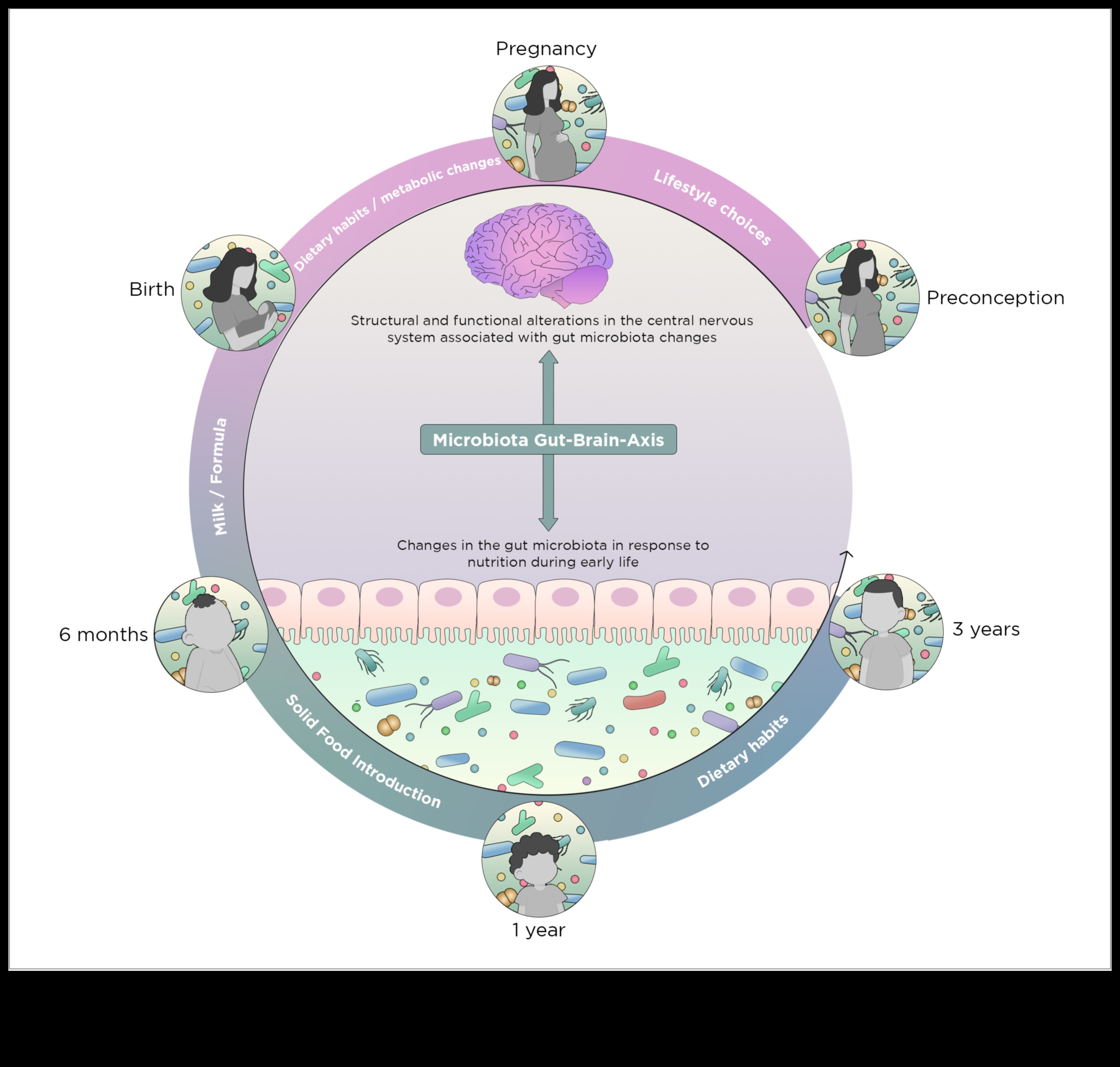 דינמיקה של מחסור: פירוק המורכבות של פערים תזונתיים