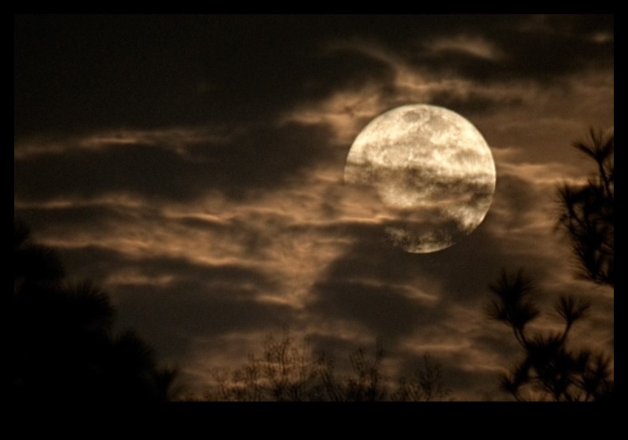 ירח קציר סתיו: יצירה למען היופי של לילות הסתיו