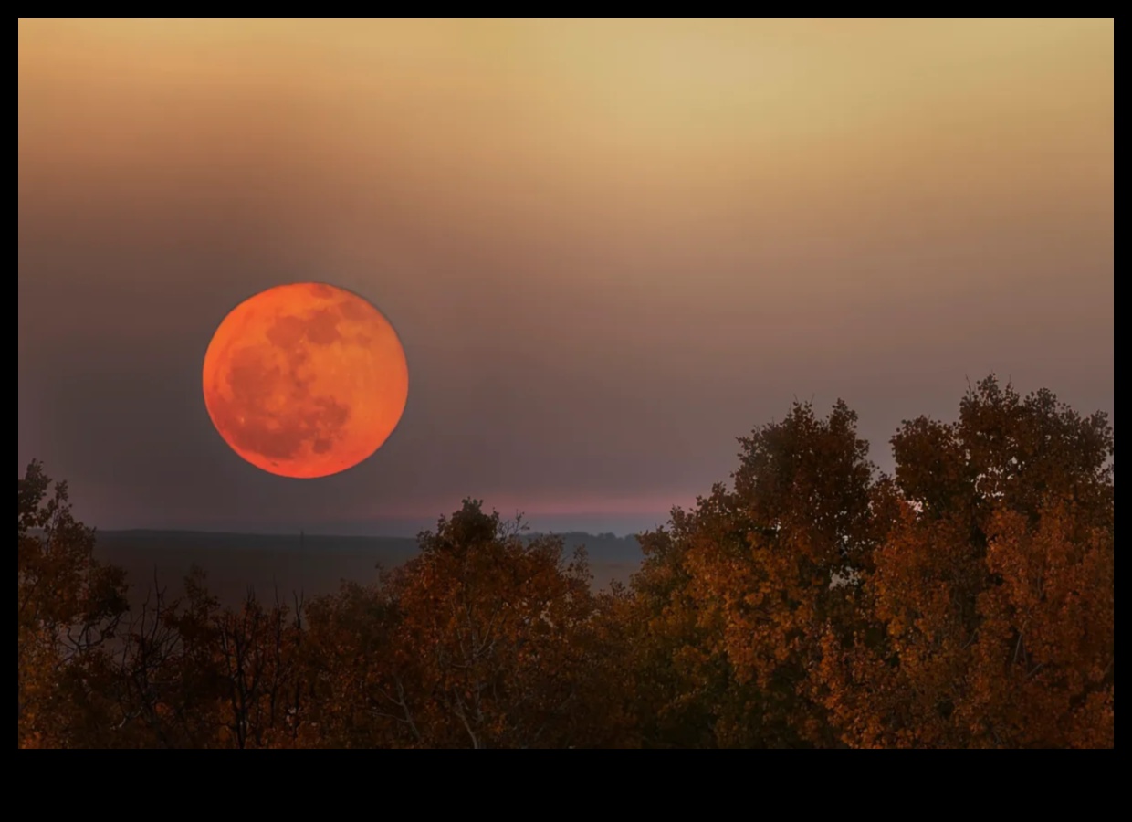ירח קציר סתיו: יצירה למען היופי של לילות הסתיו