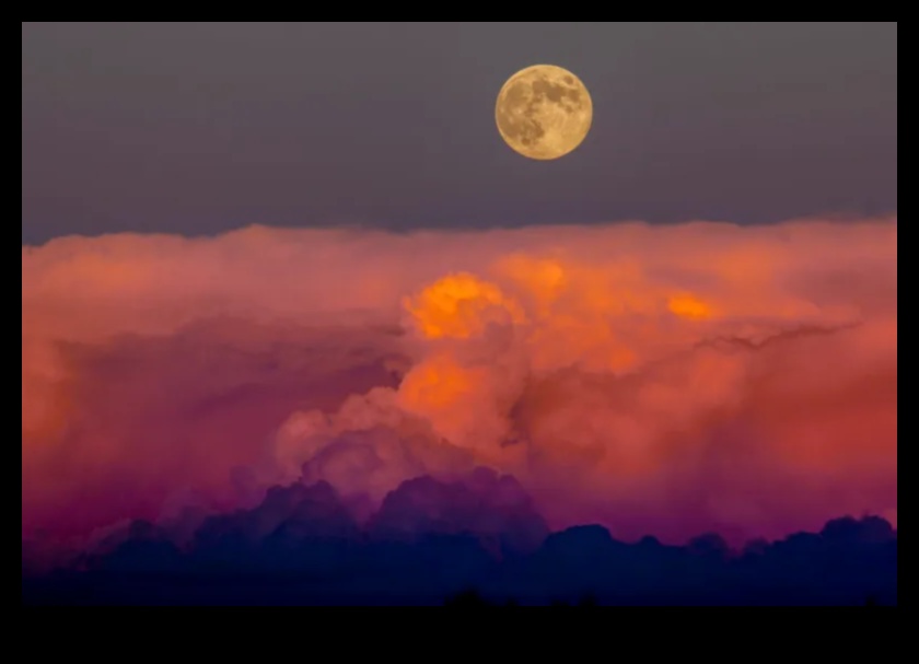 ירח קציר סתיו: יצירה למען היופי של לילות הסתיו