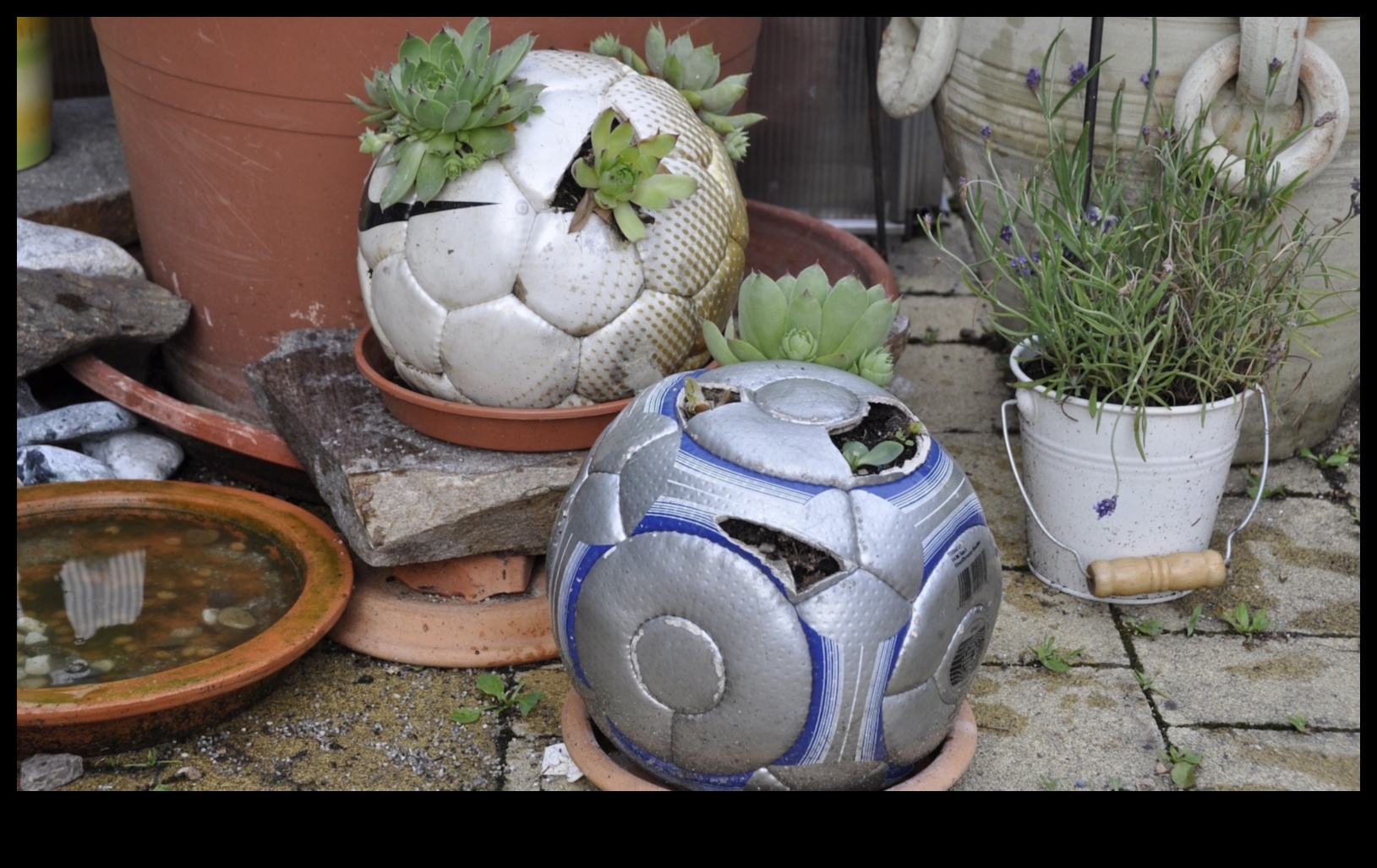 אלגנטיות בהשראת הטבע: אביזרי עשה זאת בעצמך עם חומרים אורגניים