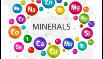 סימפוניה מינרלית: תזמור בריאות באמצעות אלמנטים חיוניים