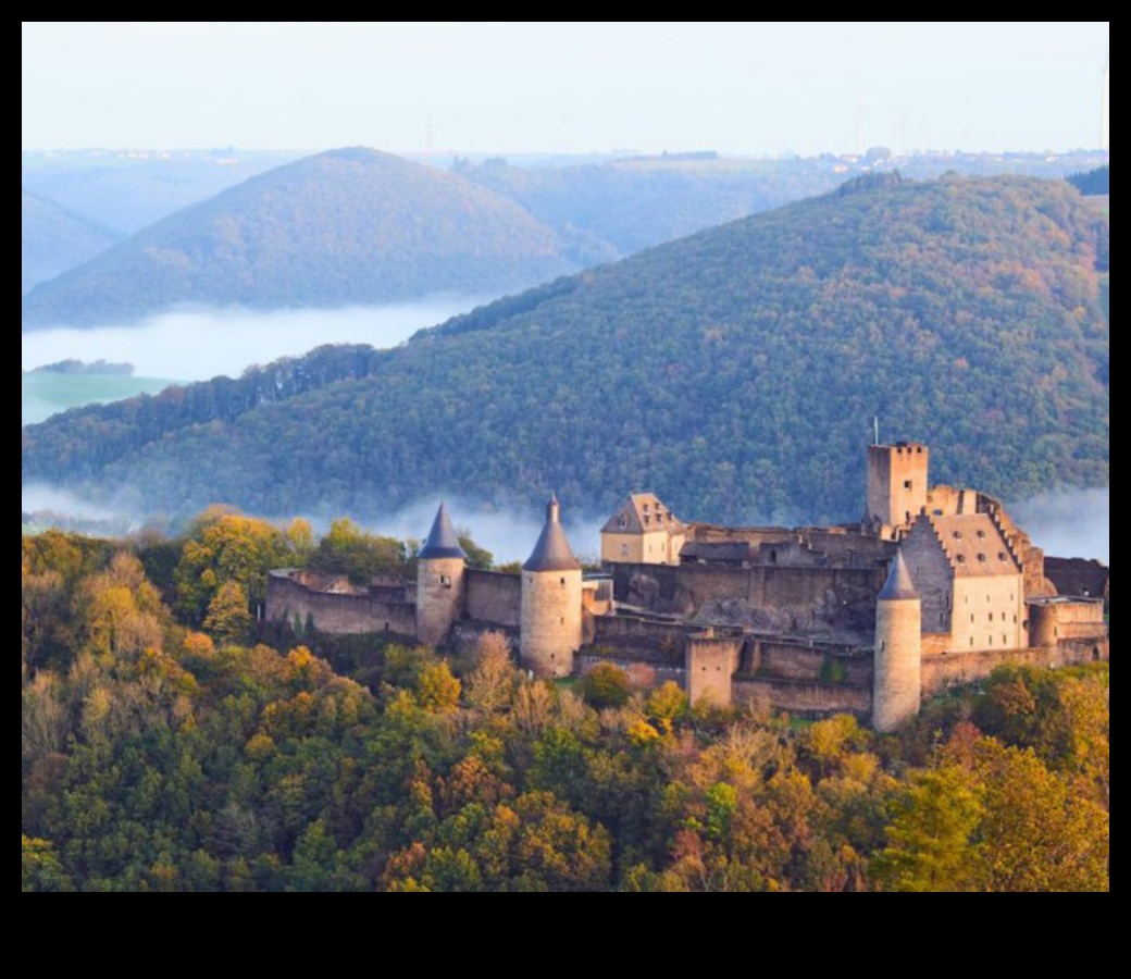 פלאי ימי הביניים: חוצים את הנוף האמנותי של ימי הביניים