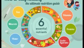 חומרים מזינים חיוניים ומעבר לכך: שיפור הרווחה שלך