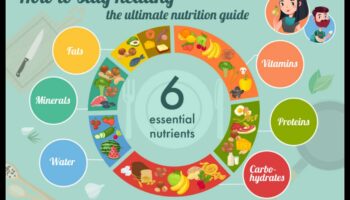 חומרים מזינים חיוניים ומעבר לכך: שיפור הרווחה שלך