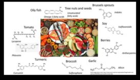 תכנון תפריט מולקולרי: יצירת בריאות עם ביוכימיה תזונתית