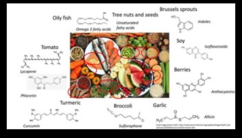 תכנון תפריט מולקולרי: יצירת בריאות עם ביוכימיה תזונתית